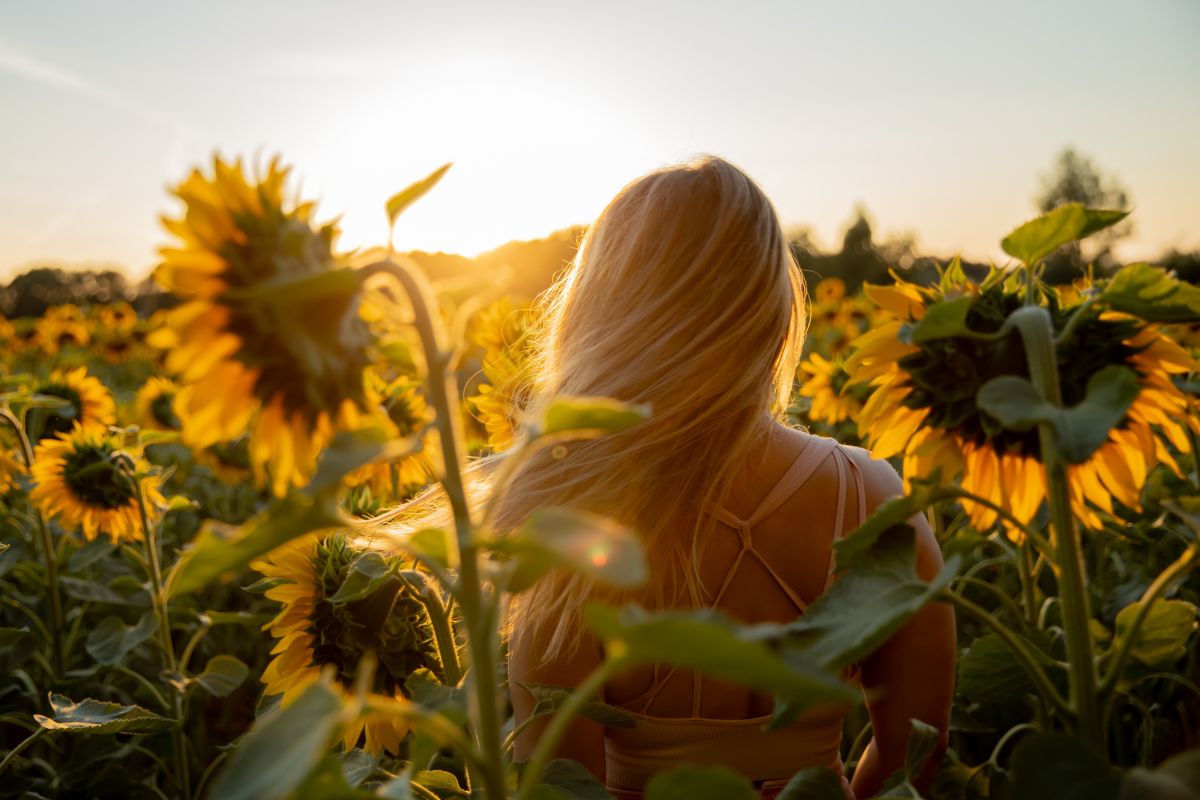 Portrait Sonnenblumen